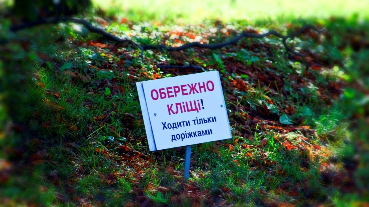 Уже более ста жителей Днепропетровщины пострадали от укусов клещей