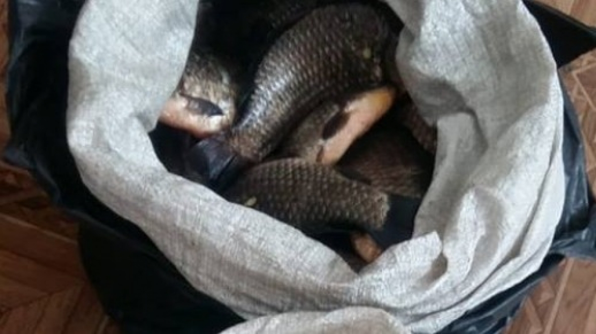 В Терновке за незаконную торговлю рыбой во время нереста выписали штраф 17 гривен