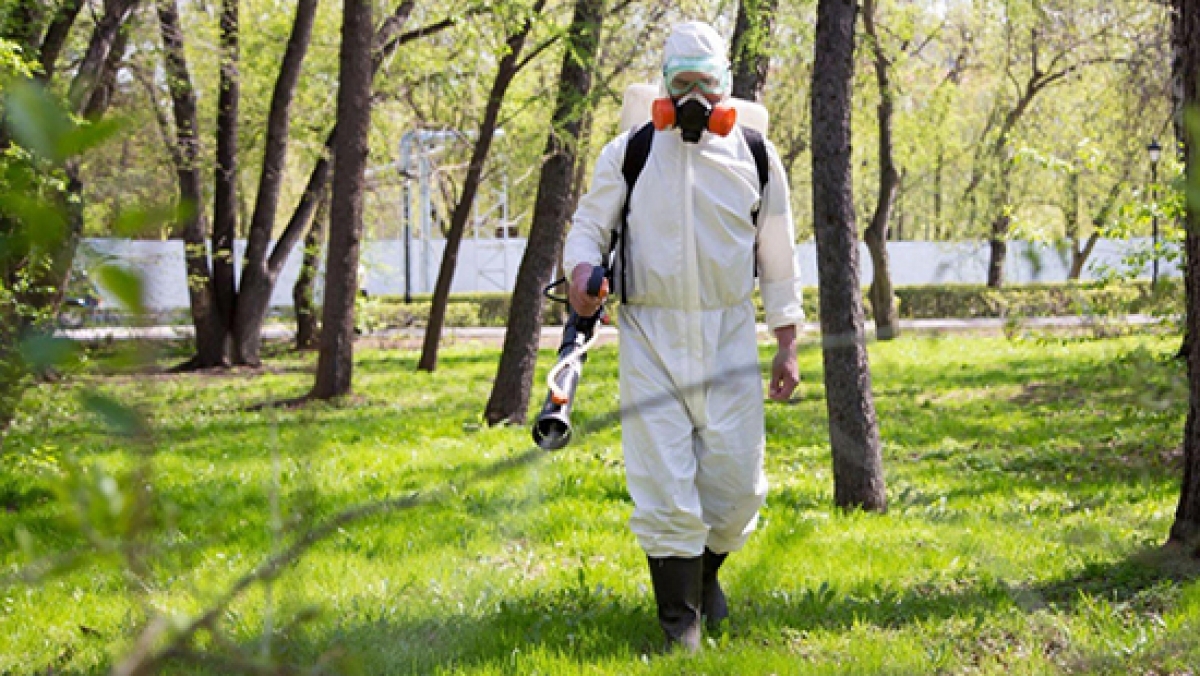 В парке 1 мая опять будут травить клещей