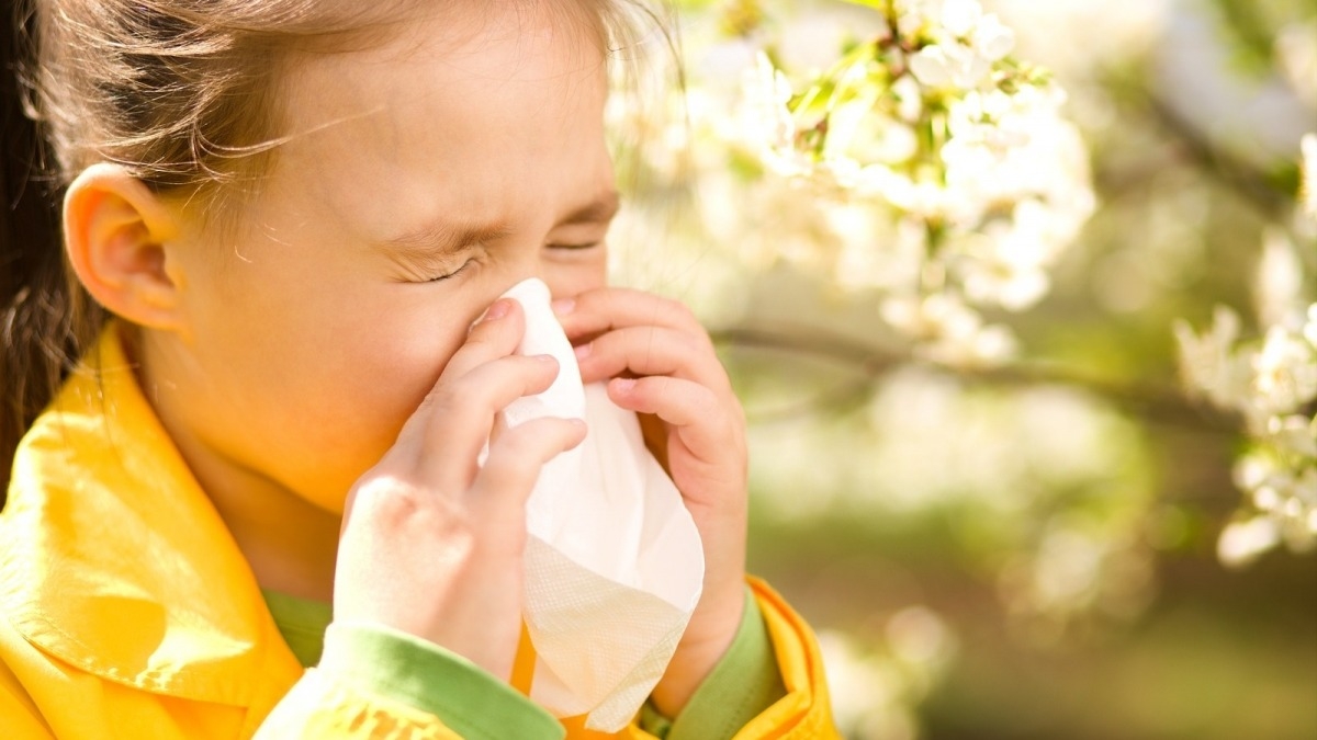 Осторожно, аллергия: действенные советы врачей, как уберечься от болезни