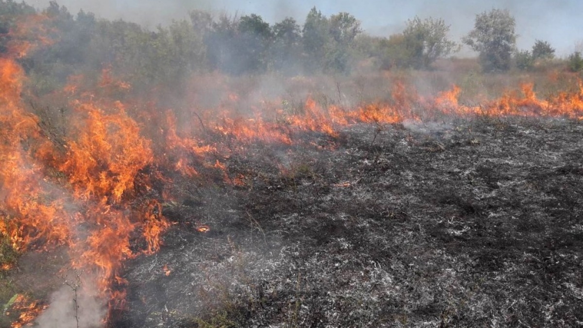 В Петропавловском районе загорелась сухая трава