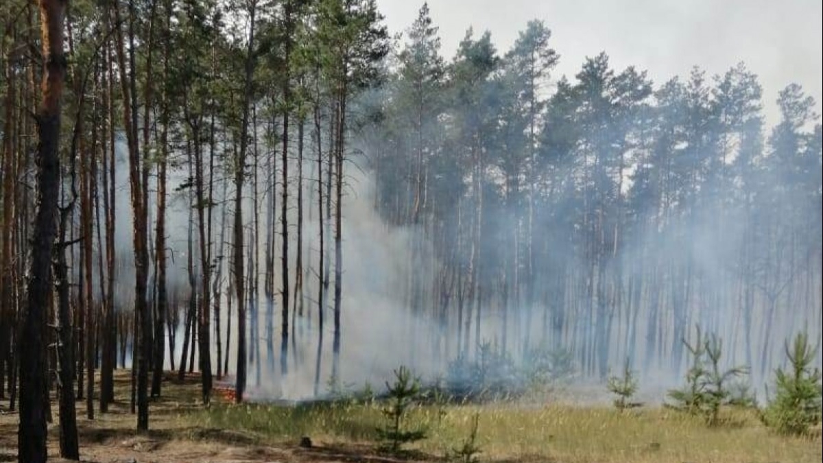 В поселке Вербки, Павлоградского района продолжают тушить пожар в лесу