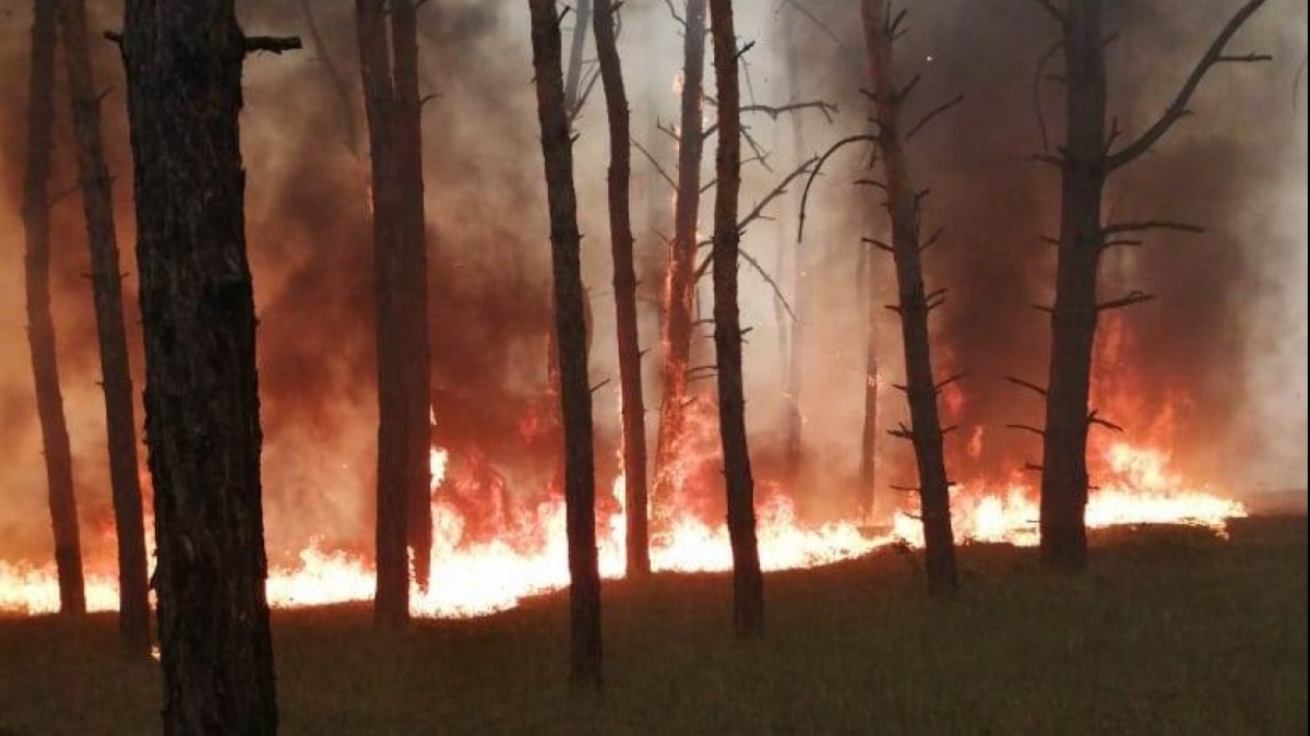 В Украине наивысший уровень пожарной опасности