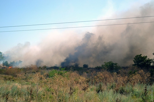 Из-за горения сухостоя возникла угроза пожара на городской свалке
