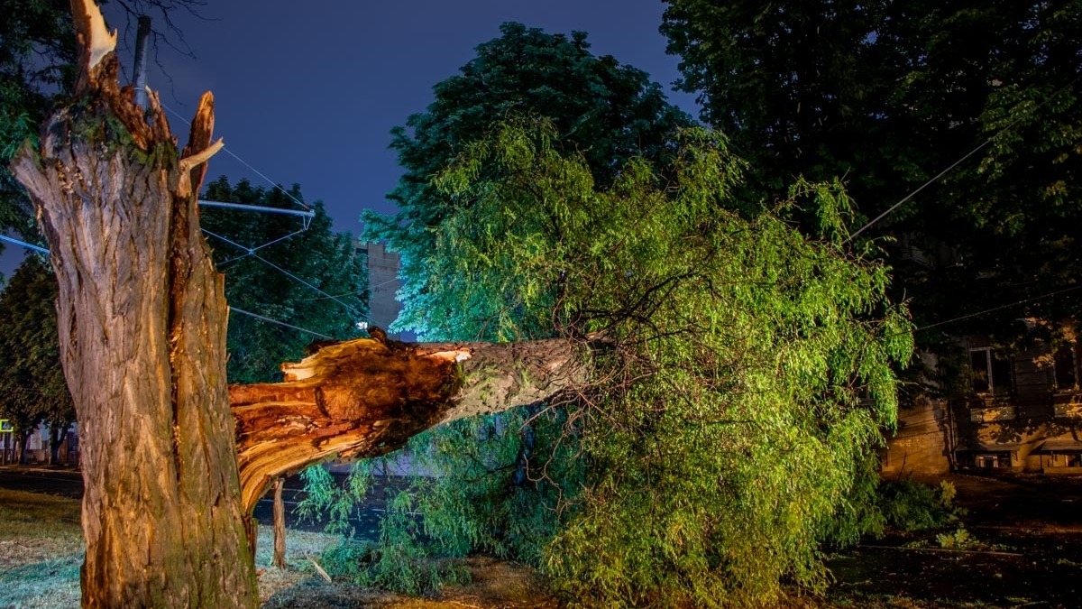 В результате непогоды без света остались 95 населенных пункта в области