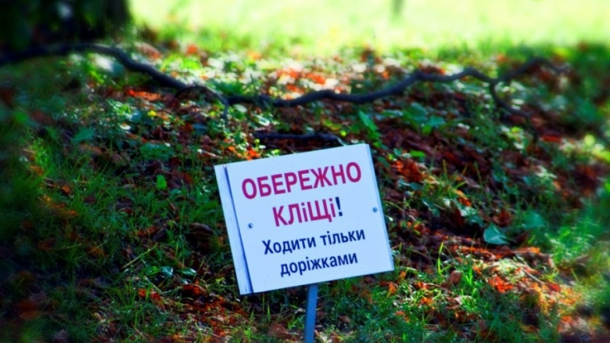 Более тысячи жителей Днепропетровщины пострадали от укусов клещей за полгода