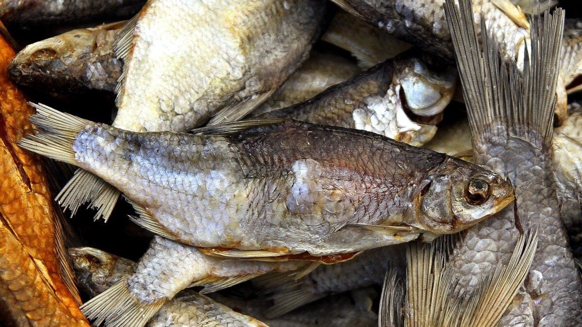 Как защититься от ботулизма: советы врачей