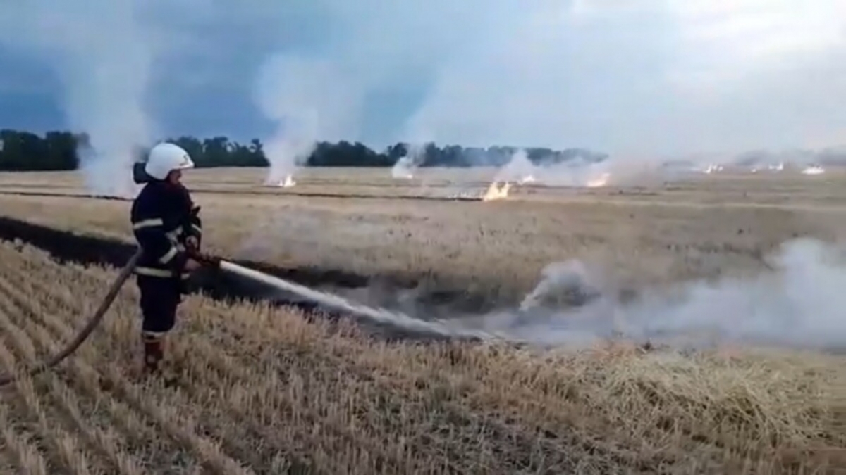 В Петропавловском районе сегодня утром загорелось поле