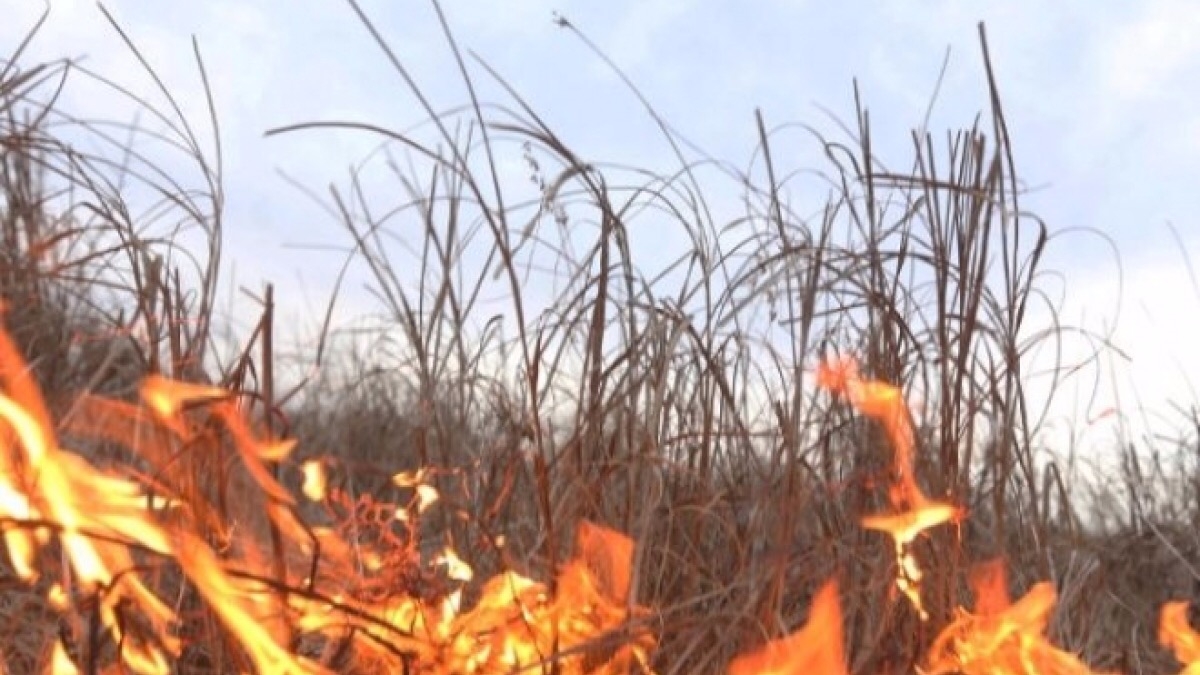 По области объявили повышений уровень пожарной опасности