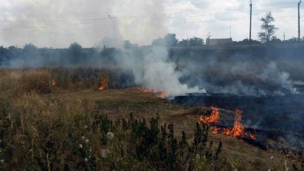 За сутки в экосистемах произошло 13 пожаров на площади более 7 гектаров