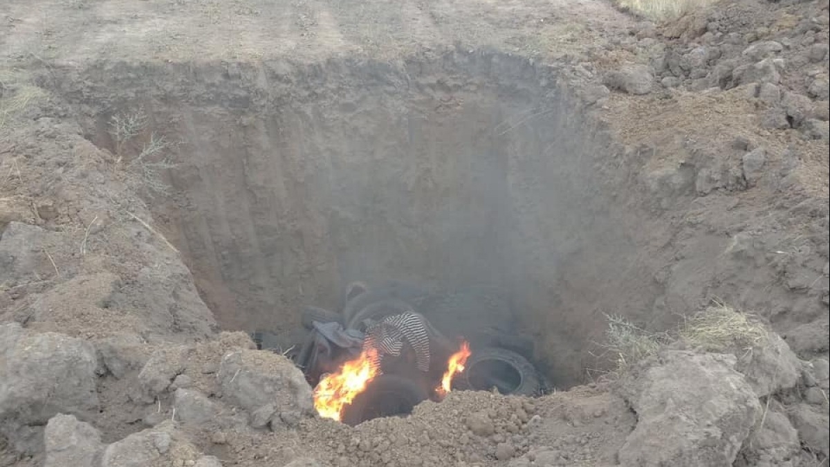 В Днепропетровской области в одном из сел ввели карантин из-за африканской чумы свиней