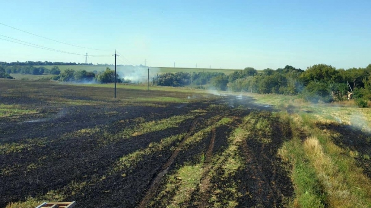 За сутки в Днепропетровской области сгорело 10 гектар экосистемы