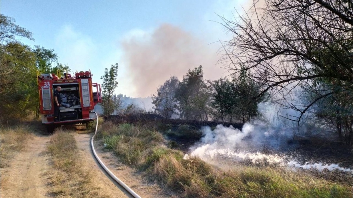 За сутки пожарные выезжали 25 раз на тушение лесов и полей