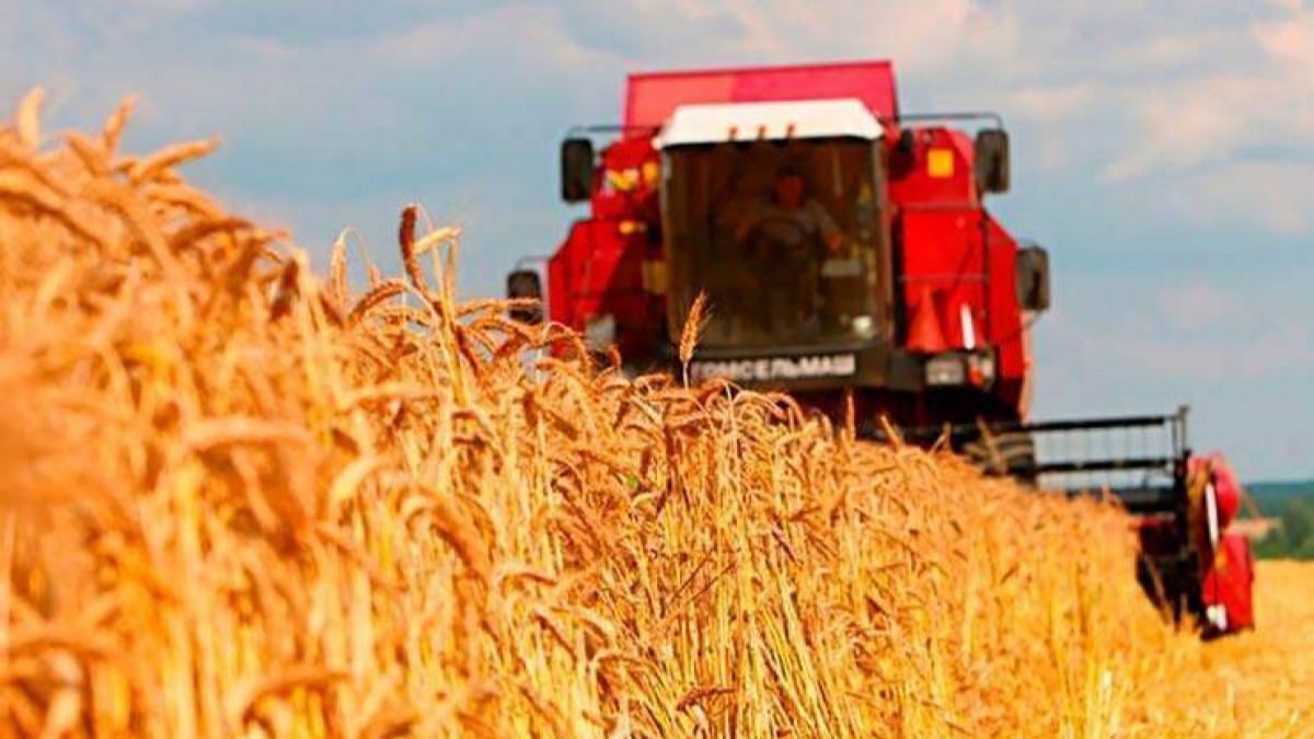 Почти за полгода заработная плата в сельском хозяйстве выросла до 8 388 грн