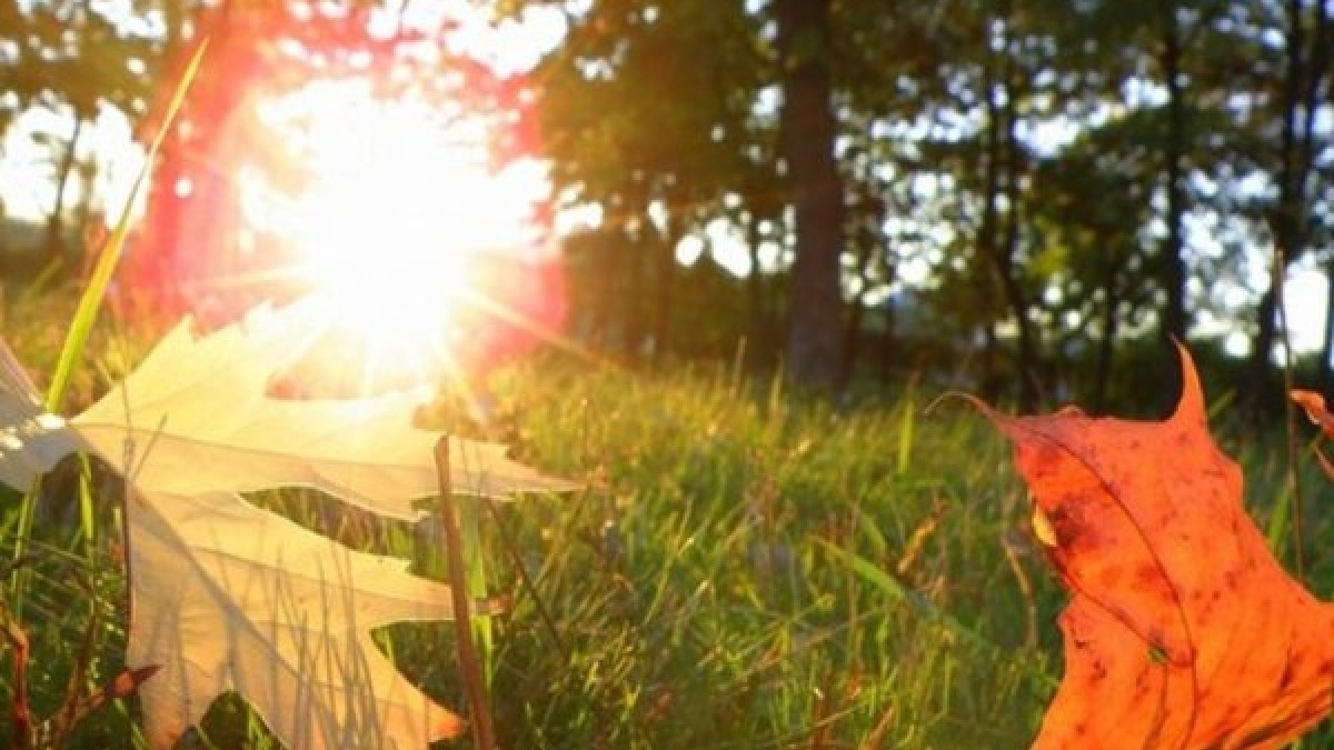 Синоптики рассказали когда ждать похолодания и будет ли бабье лето