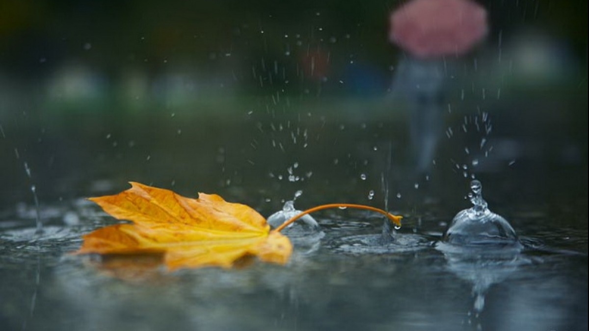 В Украину идет холод, дождь и сильный ветер - синоптики