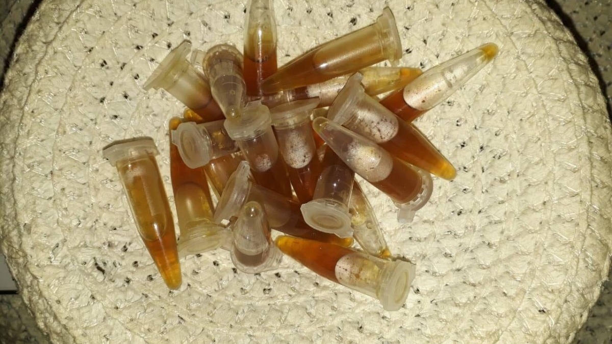 В Терновке полицейские во время обыска изъяли 21 флакон с расфасованным наркотическим веществом