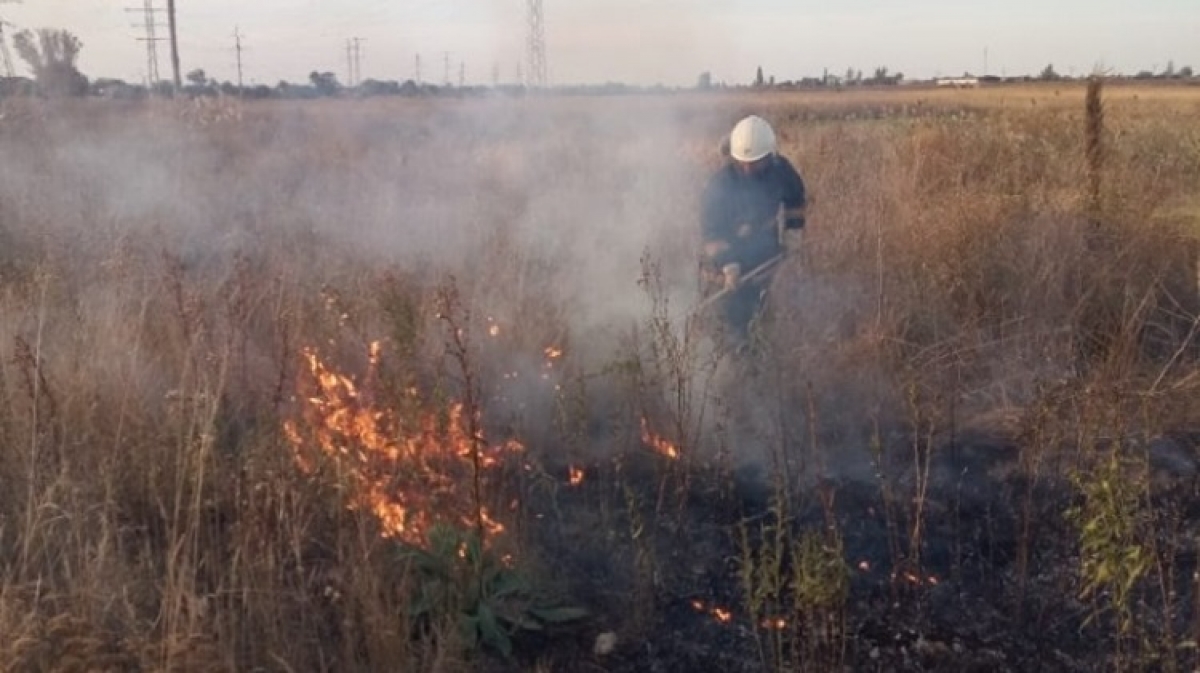 Два отделения спасателей тушили 2 гектара сухой травы в Павлограде