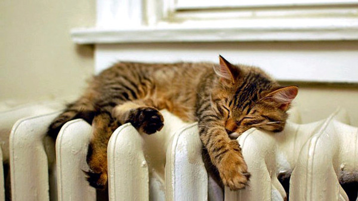 В Павлограде больше 200 ОСМД срывают отопительный сезон