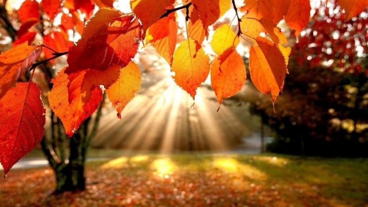 Какой ждать погоды в октябре