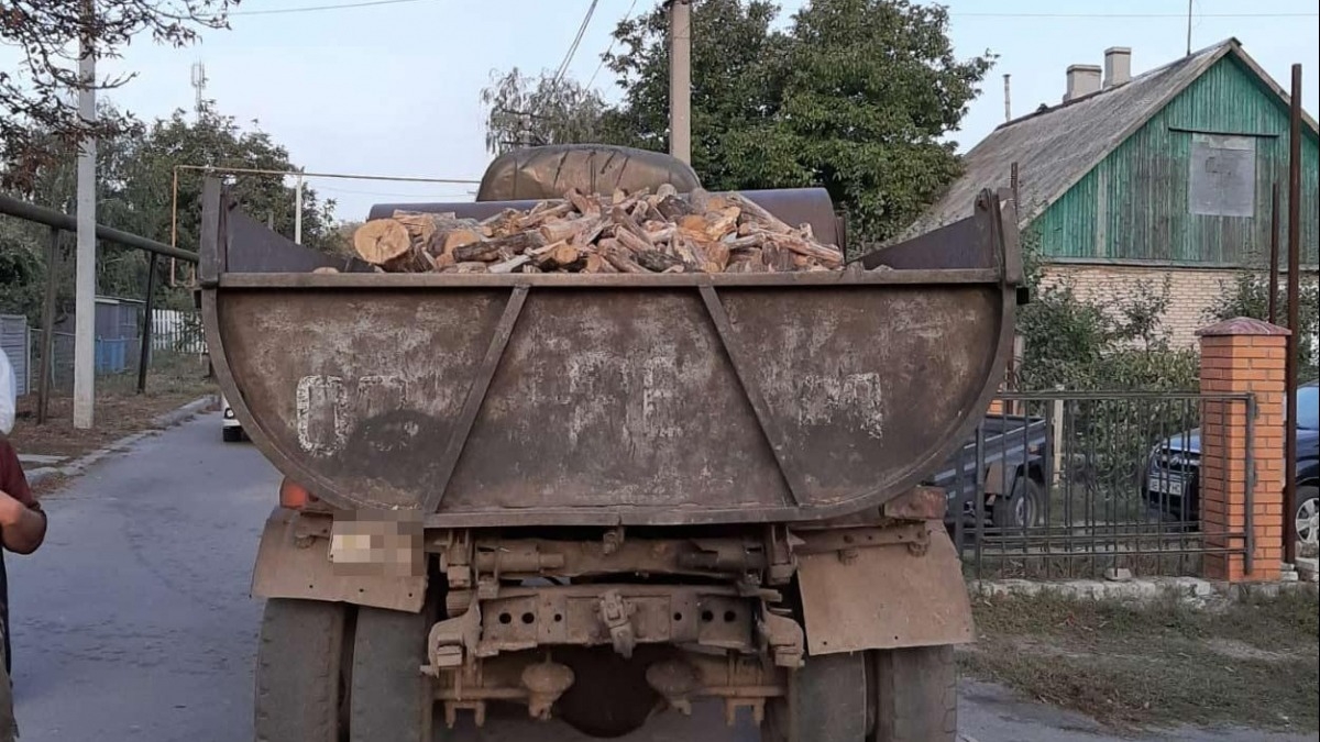 В Терновке полиция обнаружила грузовой автомобиль с незаконно спиленными деревьями