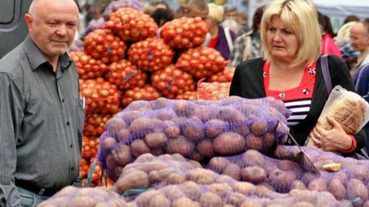 В области накопали более 500 тон картошки, но цены ниже 15 гривен не будет - эксперты