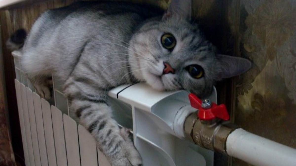 В большинстве областей Украины включили отопление