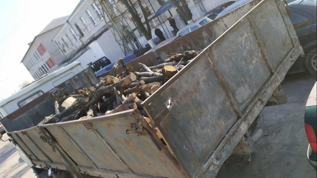 В Вербках задержали грузовик с незаконно срубленными акациями