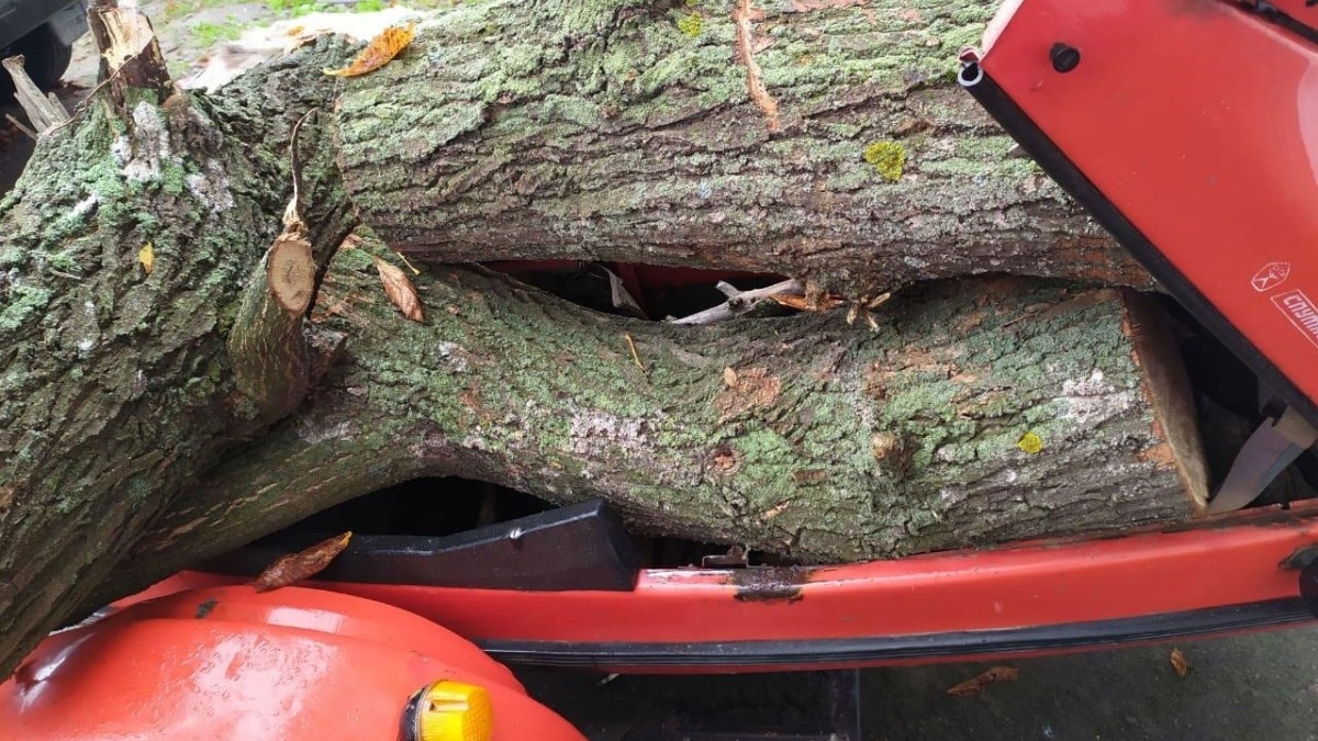 В Павлоградском районе пьяный мотоциклист перевозил спиленные деревья