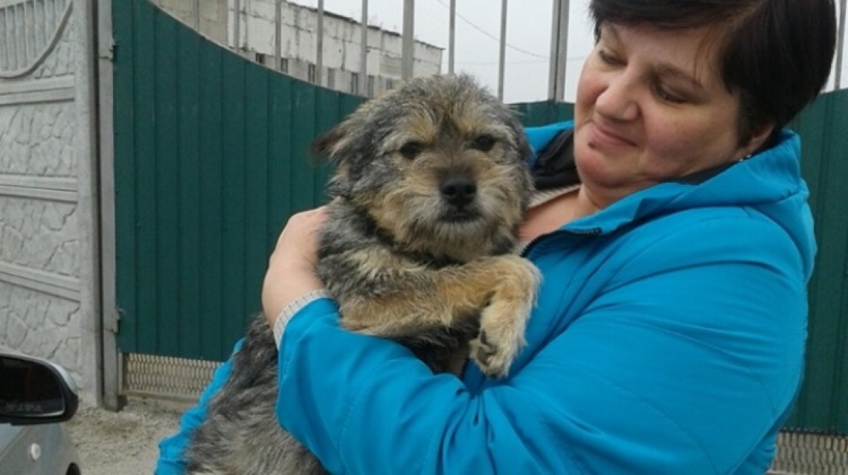 Возьмите себе друга из приюта