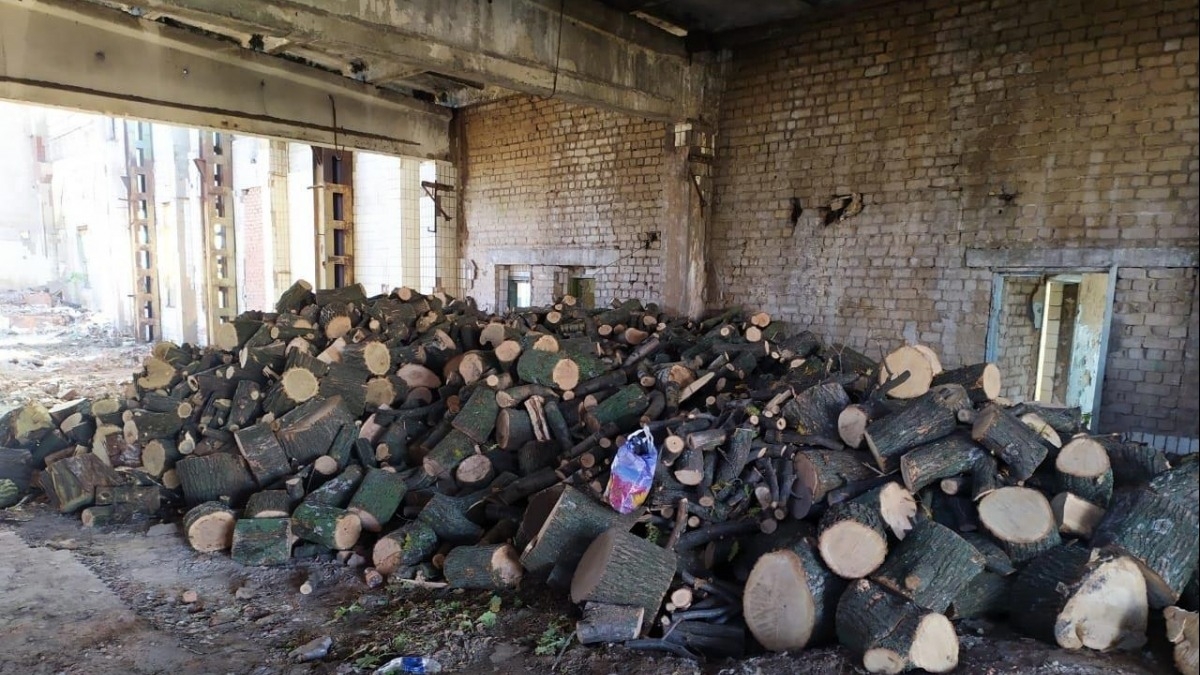 В Павлограде полицейские обнаружили ангар с незаконно срубленной древесиной