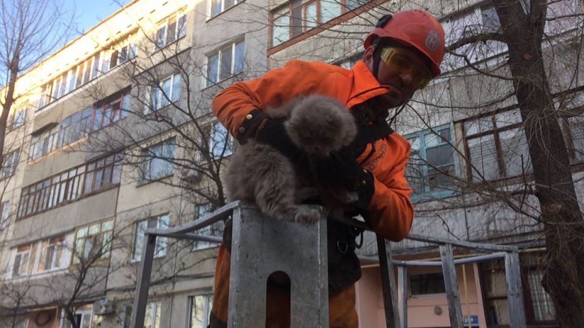 Сотрудники КП 