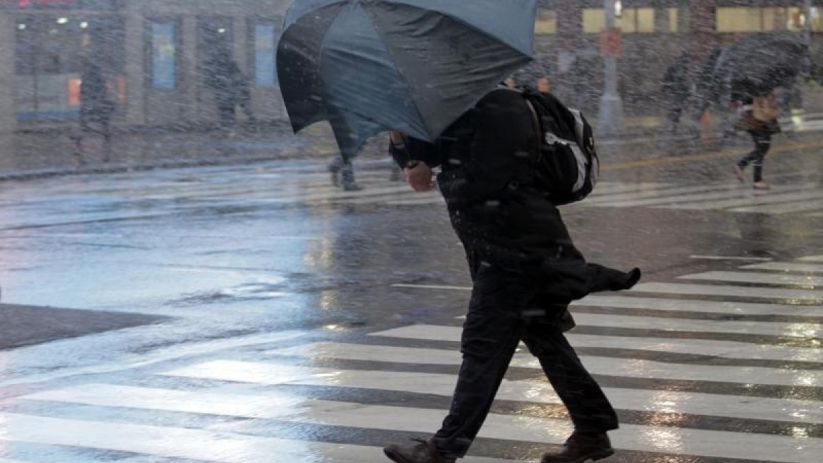 В области ожидаются порывы ветра до 15-20 м/с