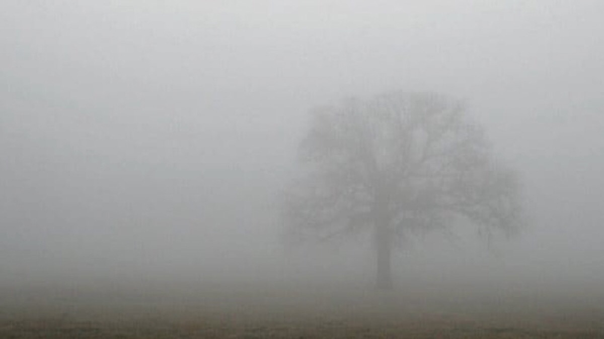  Туман, дождь, местами заморозки - погода на выходные