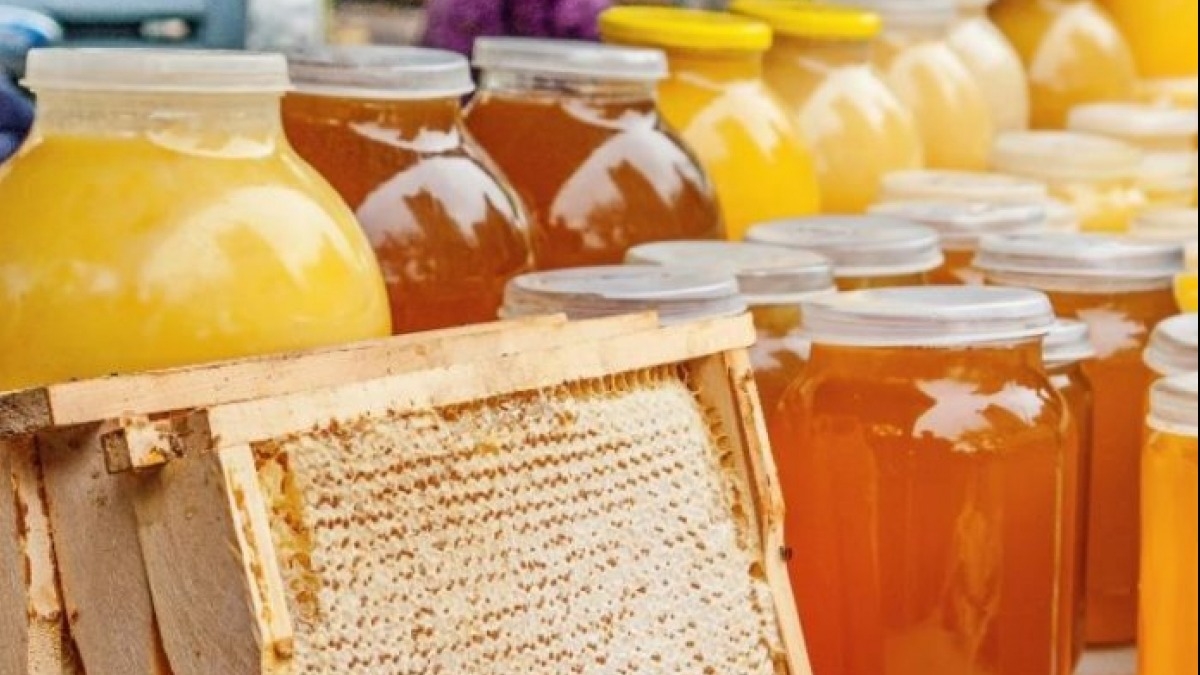 Павлоградец 