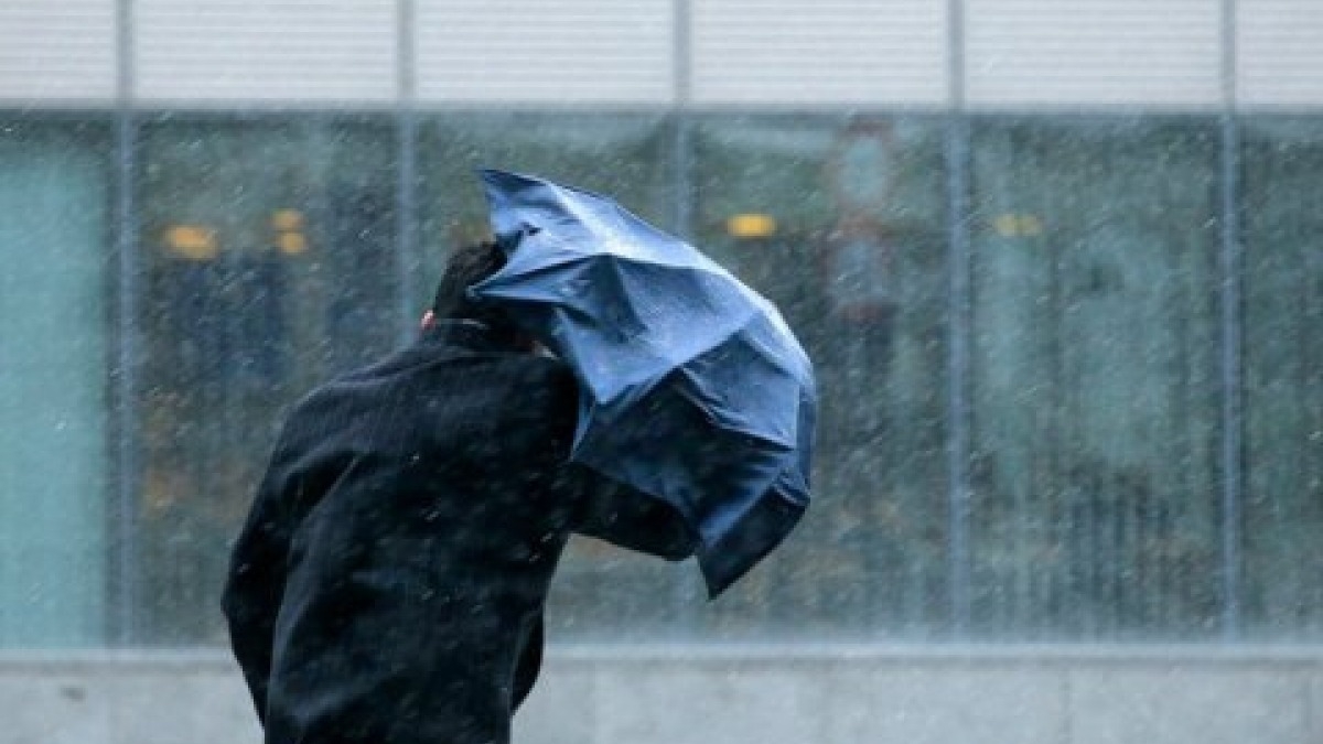 На выходных будет сухо и ветрено