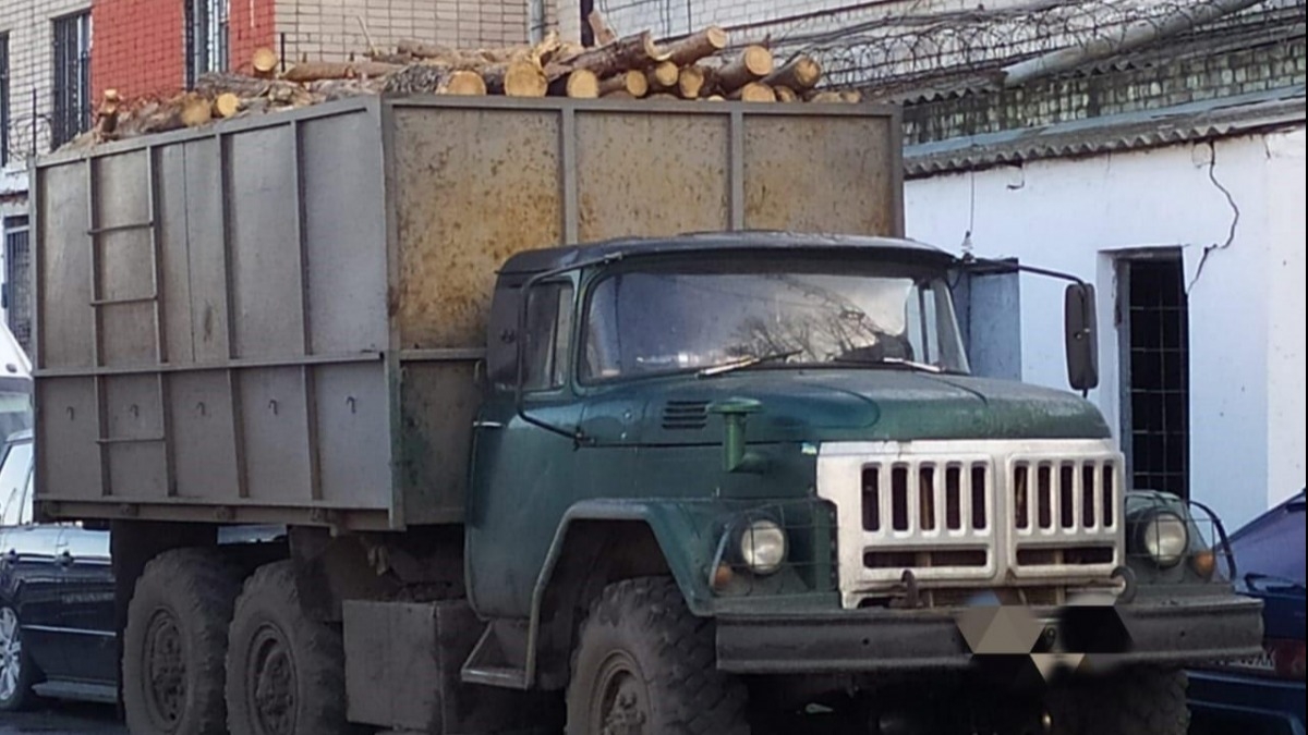 В Павлограде продолжают незаконно рубить деревья