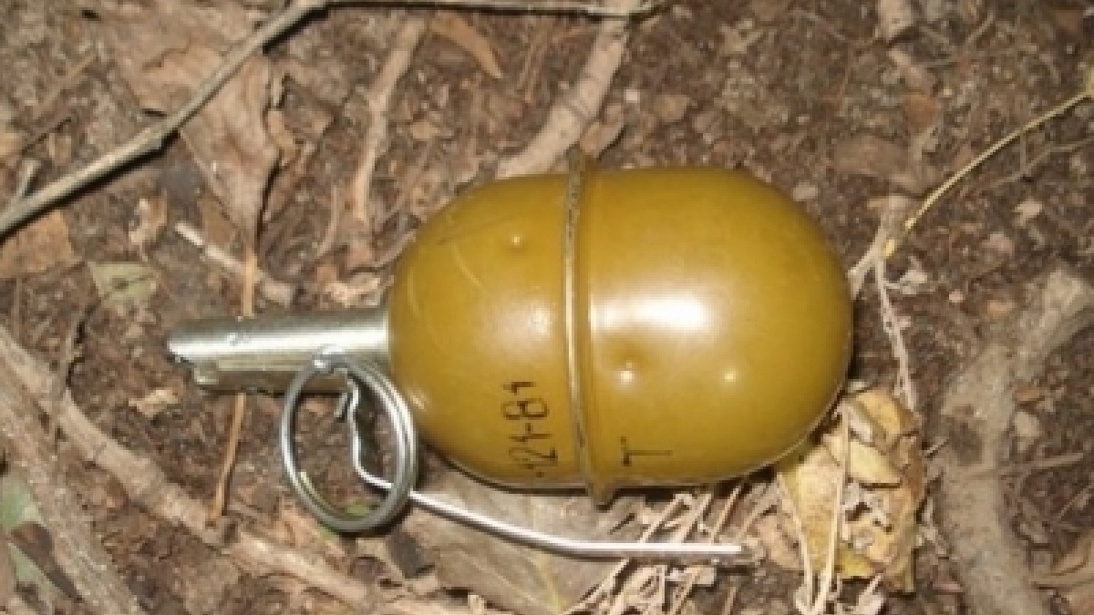 В Першотравенске мужчина подорвался на гранате