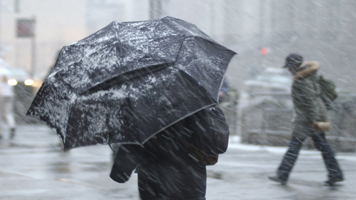 По области ожидаются порывы южного ветра до 20 м/с