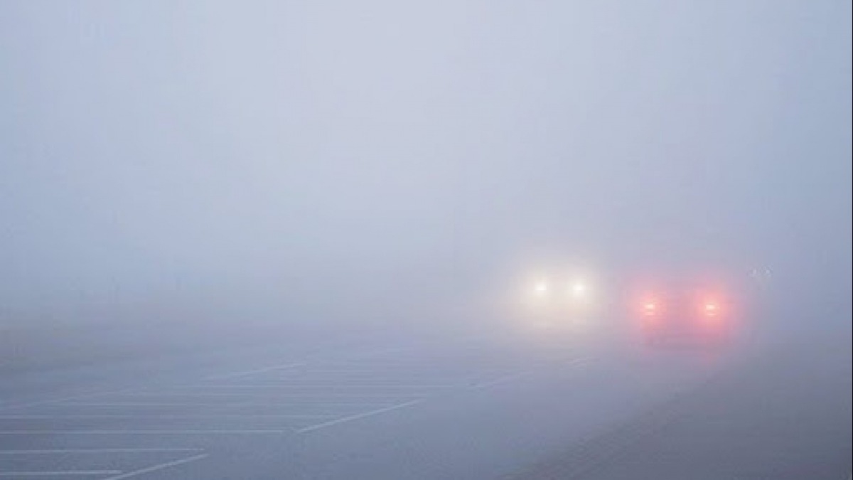 Синоптики прогнозируют на ближайшие 3 дня сильный туман