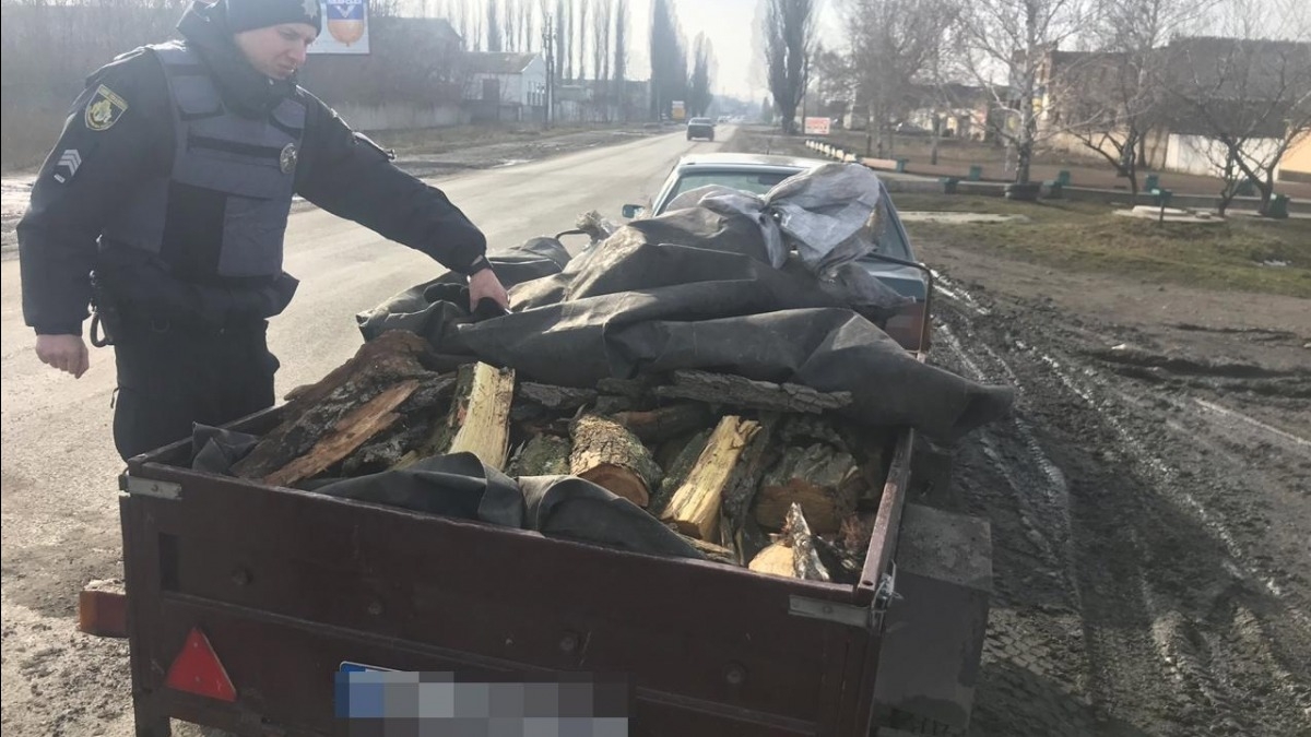 В Павлограде задержали авто с незаконно срубленными акациями