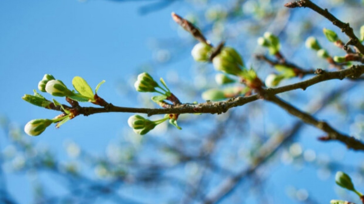 Завтра в Украине до 19 градусов тепла, но местами дождь и снег