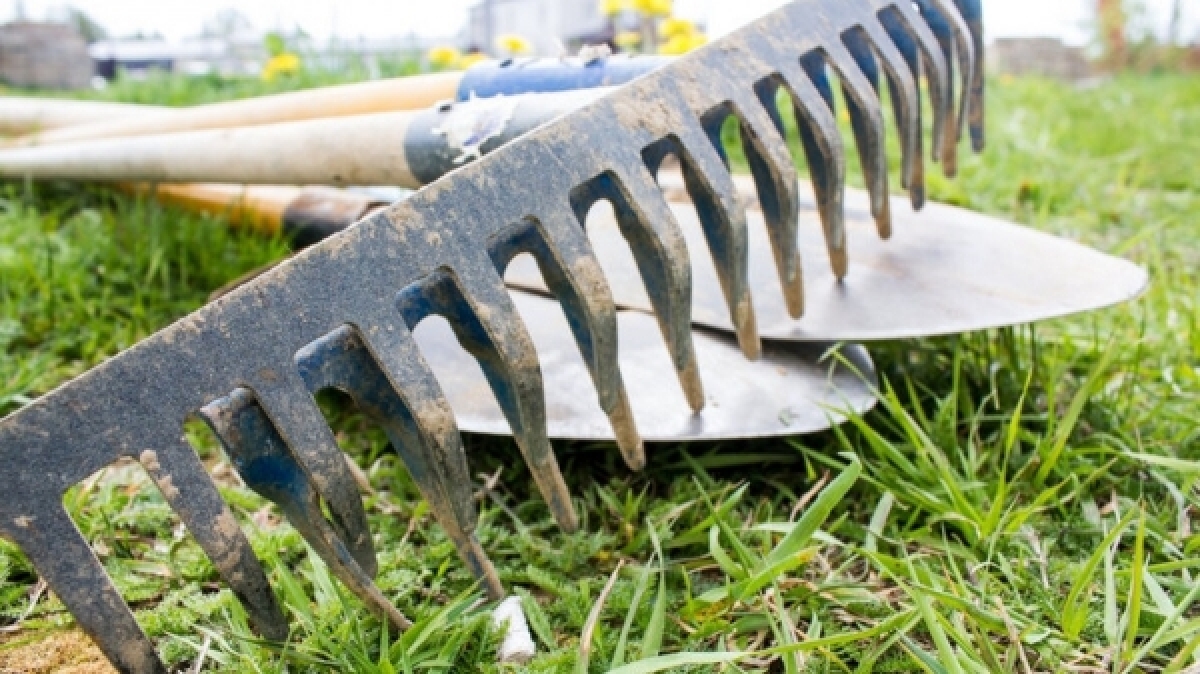 В Павлограде директора дошкольного учреждения оштрафовали за нарушения карантина