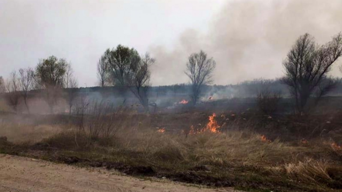 За сутки в области произошло 22 пожара в экосистемах - уничтожено 27 гектара