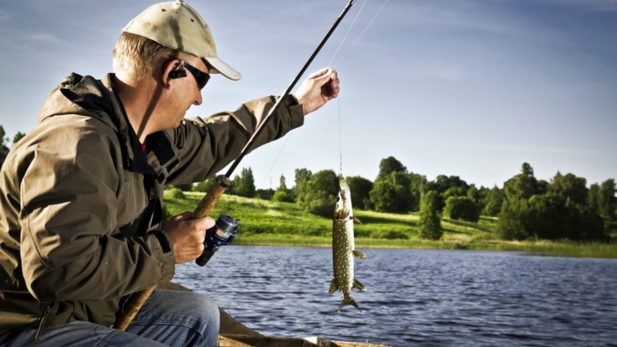 На водоемах области ограничили вылов рыбы