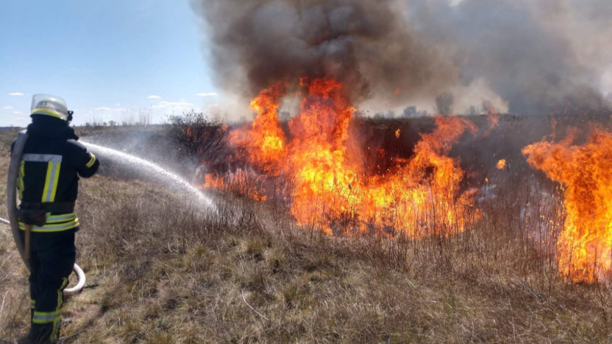 В Украине увеличили штрафы для поджигателей сухой травы до 21 тысячи гривен