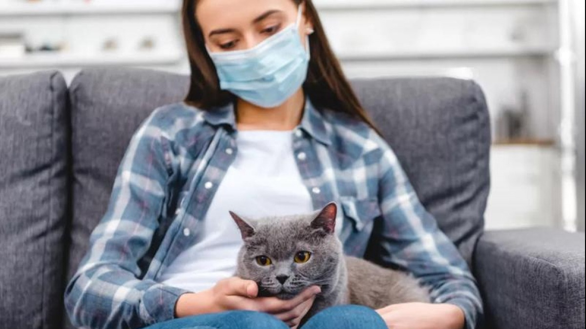 Новая дата: карантин продлевают до 11 мая - кабмин