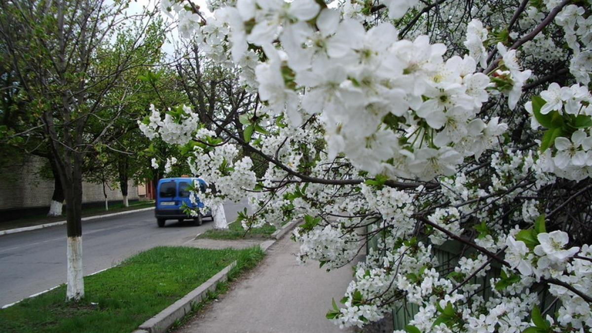 В Украину идет потепление до 17 градусов