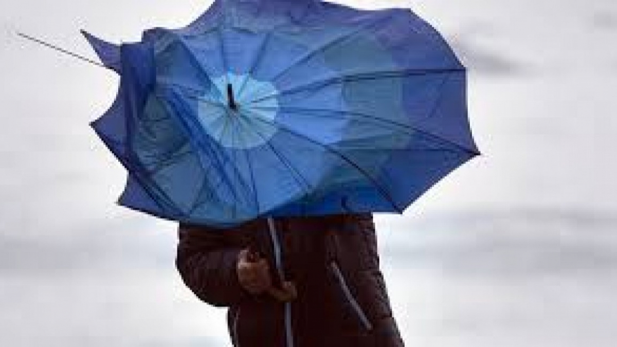 Сильный ветер и дождь ожидают жителей области ближайшие 3 дня