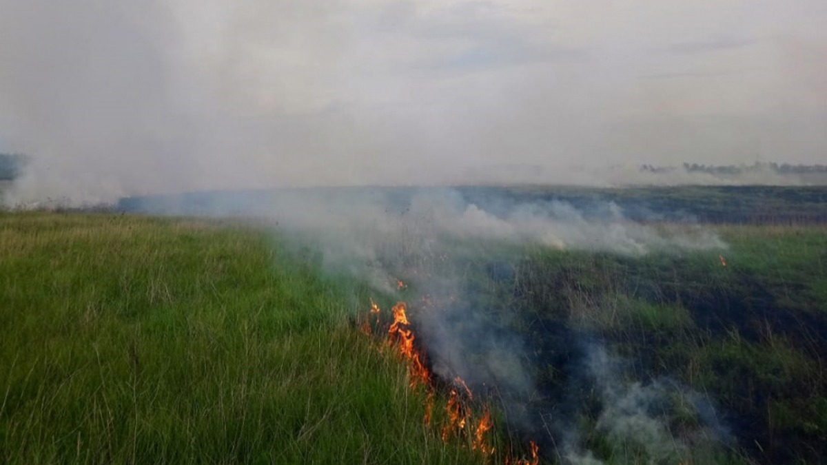 В Павлоградском районе жители продолжают жечь траву
